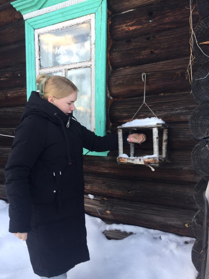 Птичья столовая.